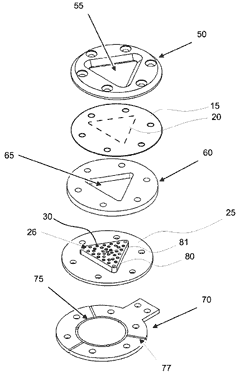 EHR-M Capsule